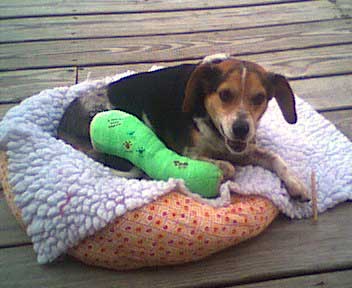 Franklin Fund