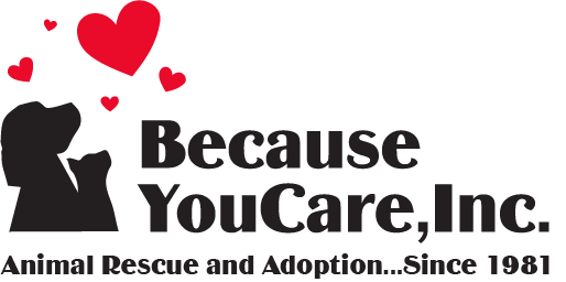 Because You Care, Inc.