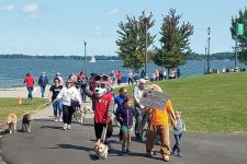 23rd Annual Walk in the Park