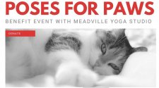 Poses for Paws to Benefit Because You Care