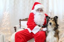Pet Photos With Santa Claus 