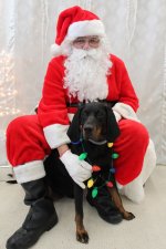Photos With Santa At Millcreek Mall