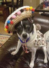 Fiesta Time at Mad Mex