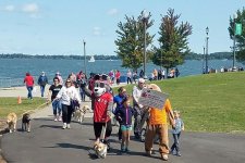 24th Annual Walk in the Park 2019