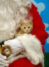 Photos with Santa
