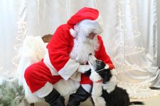 Photos with Santa