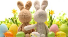 Let us EGG YOUR YARD
